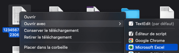 Ouvrir avec Excel